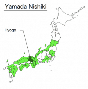 Mappa riso Yamada-nishiki
